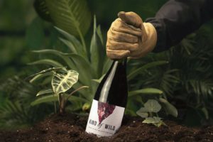 New Organic Vegan Wine Brand Is Writing The Standard On Sustainability