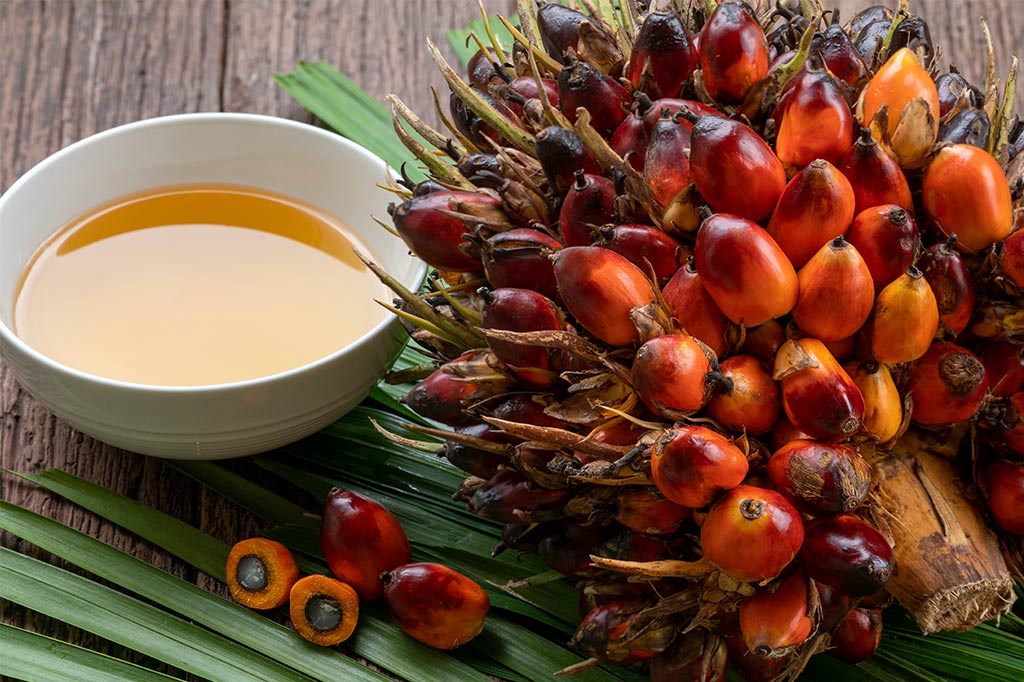 Top 10 Facts To DITCH Palm Oil