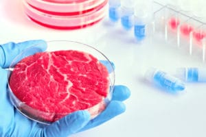 First-Cultured-Meat-Production-Facility-is-Opening-In-Israel