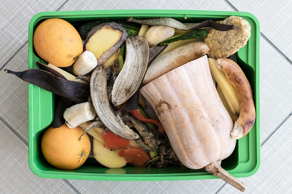 Food-Waste-How-Can-We-Start-To-Solve-it-2