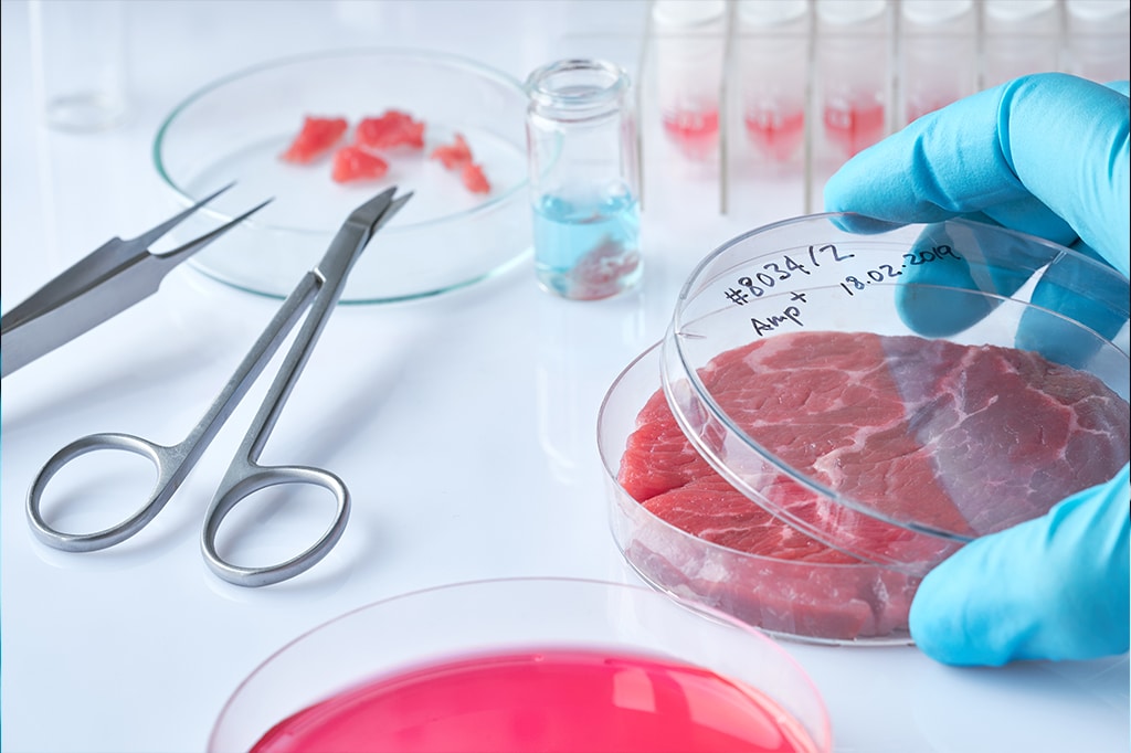 US-And-UK-Consumers-‘Eager’-To-Eat-Cultured-Meat