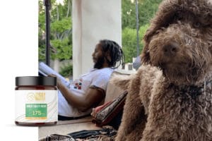 Ziggy-Marley-Launched-A-Vegan-Cbd-Line-For-Dogs