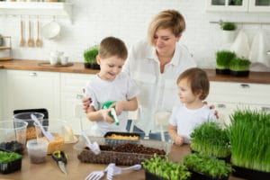 small-children-help-their-mother-kitchen-plant-microgreen-water-fill-it