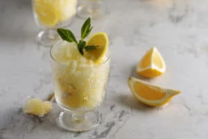 tasty-granita-dessert-with-lemon-high-angle